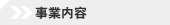 ���Ɠ��e
